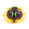 Bakugan™ Speciální útok SPIDER EVO SOLID